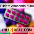 Píldora Anaconda 5000 09